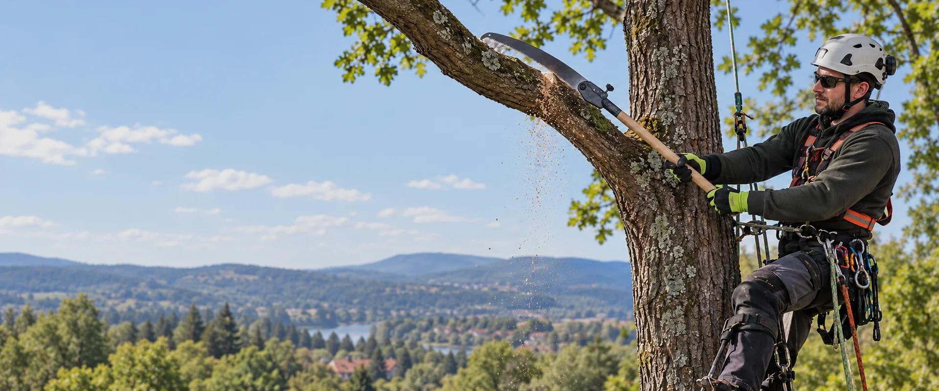 Arborist using a pole pruning saw to cut a tree branch